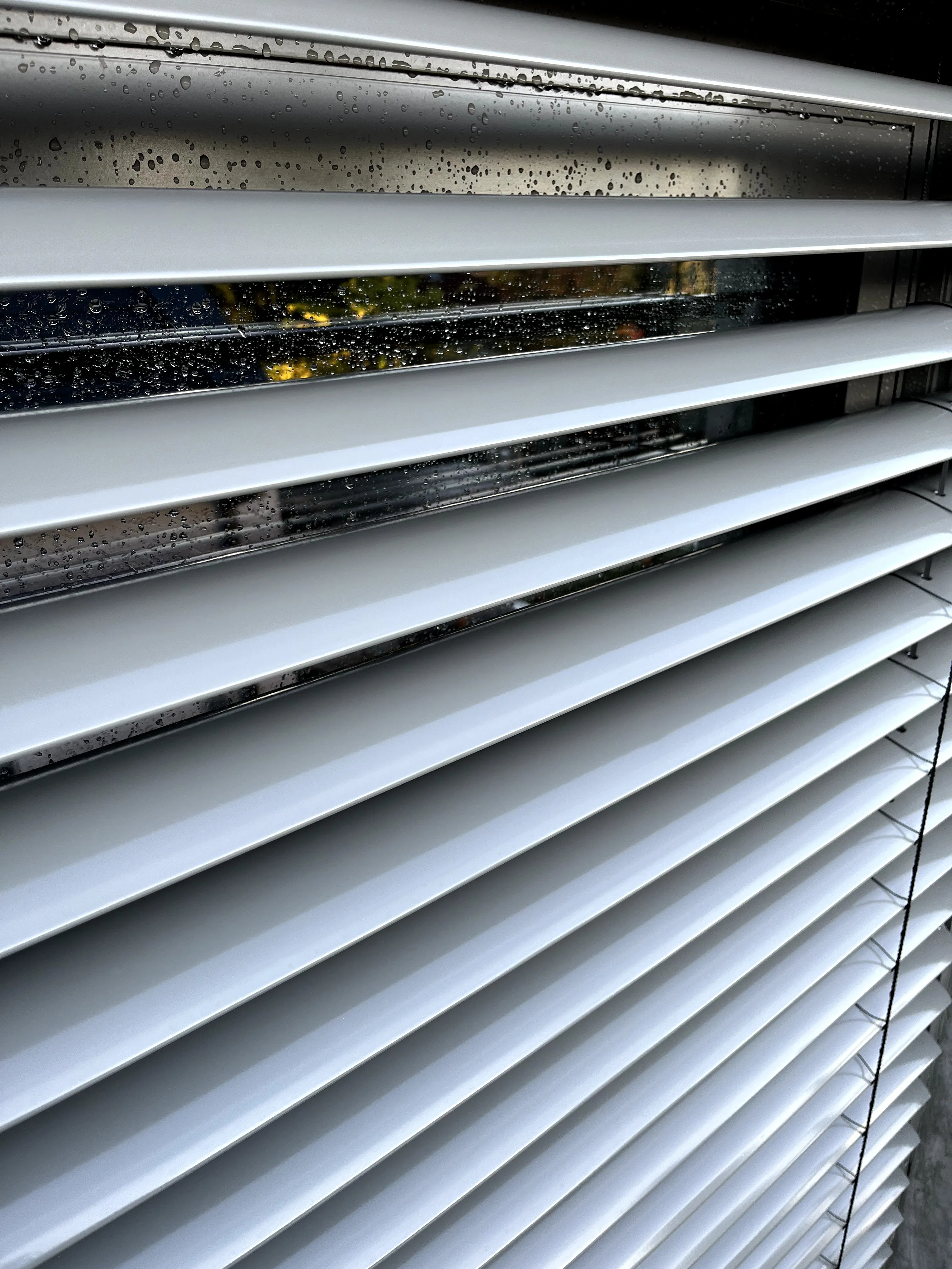 Zsalúzia tisztítás